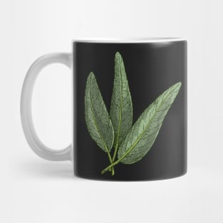 Sage Kitchen Herbs | Aromatic herbs Mug